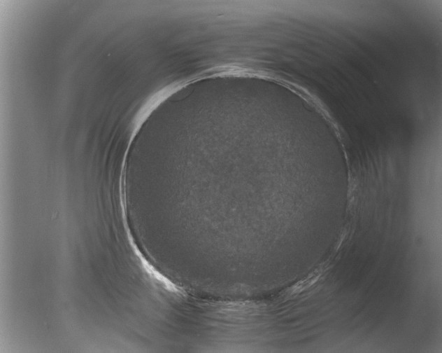 X0000078021247200610271225