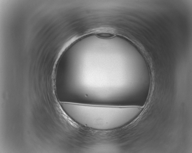 X0000078021248200610271226