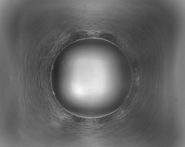 X0000078021249200610271225