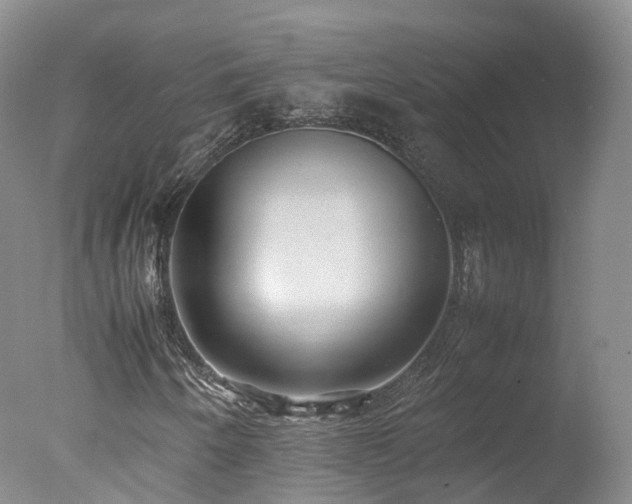 X0000078021250200610271225