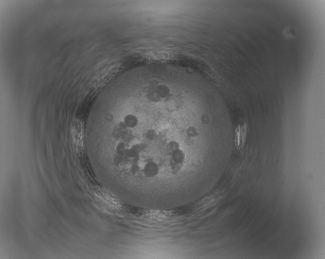 X0000078021251200610271225