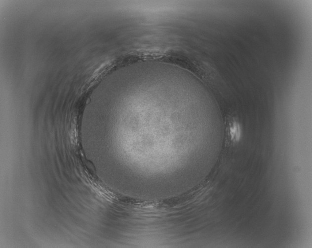 X0000078021252200610271225