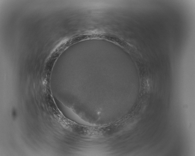 X0000078021254200610271225