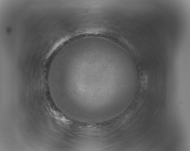 X0000078021256200610271225