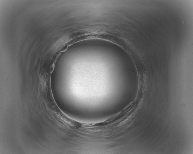 X0000078021257200610271225