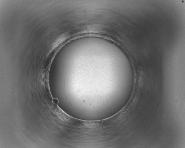 X0000078021258200610271225