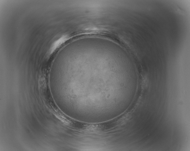 X0000078021259200610271225