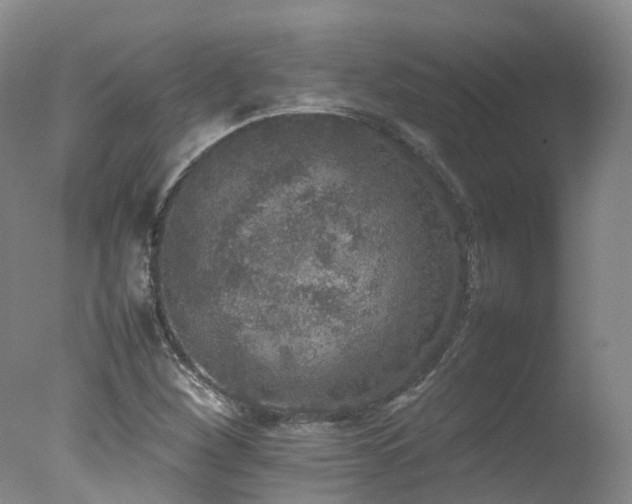 X0000078021260200610271225