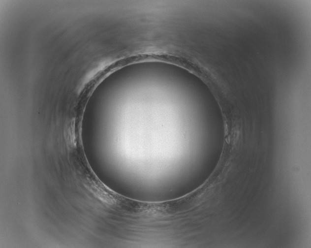 X0000078021262200610271224