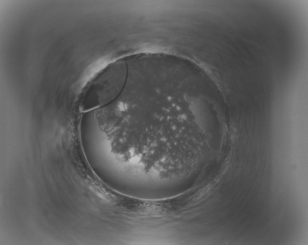 X0000078021263200610271224