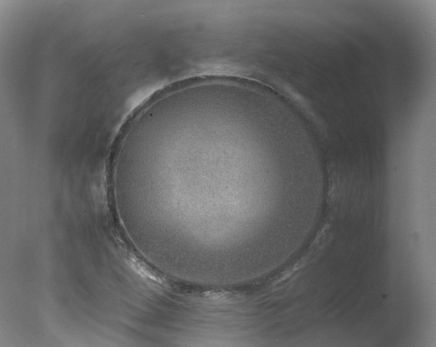 X0000078021264200610271224