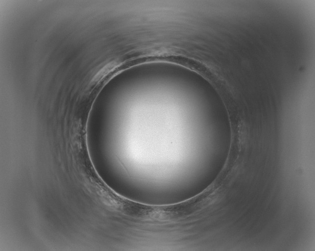 X0000078021265200610271224