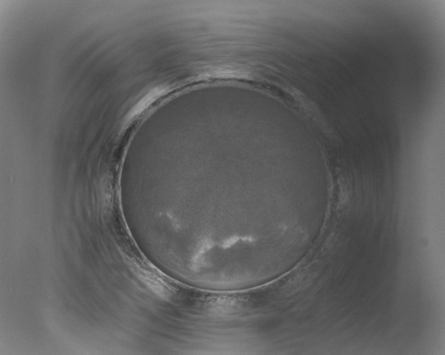 X0000078021266200610271224