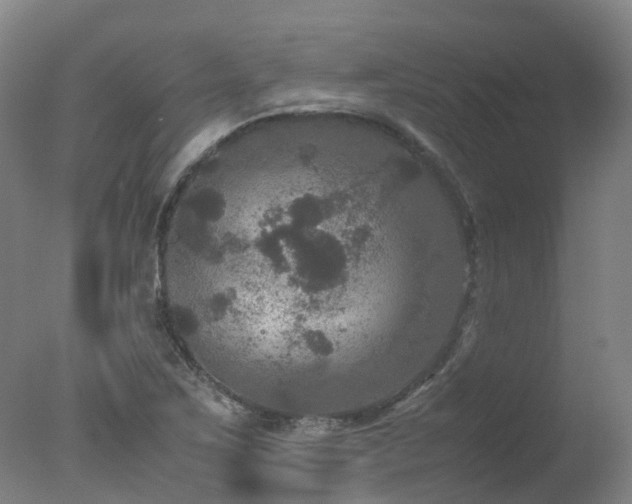 X0000078021267200610271224