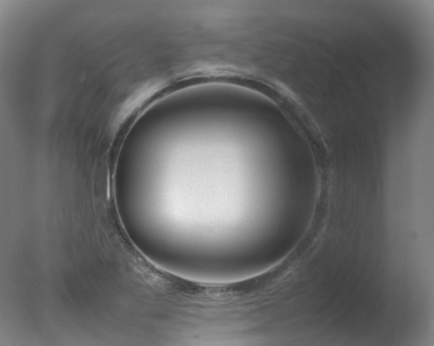 X0000078021269200610271224