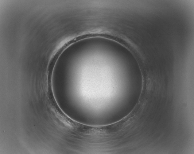 X0000078021270200610271224