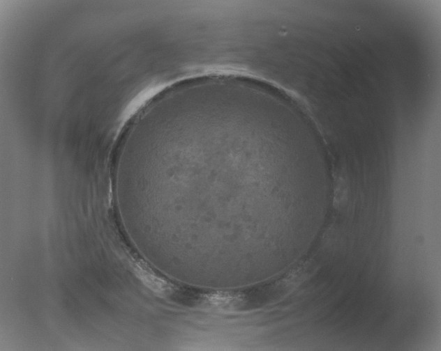 X0000078021271200610271224