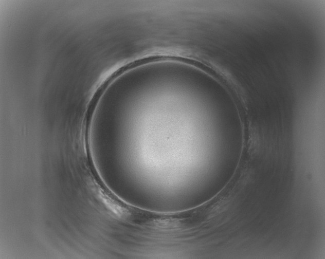 X0000078021272200610271224