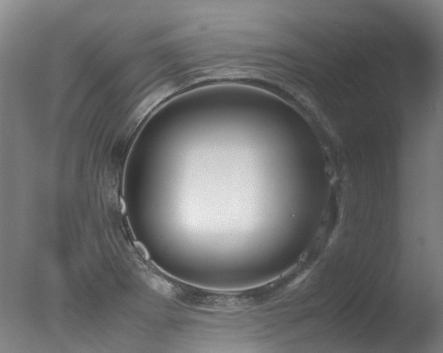 X0000078021273200610271224