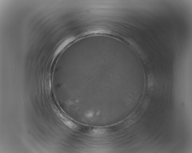 X0000078021274200610271224