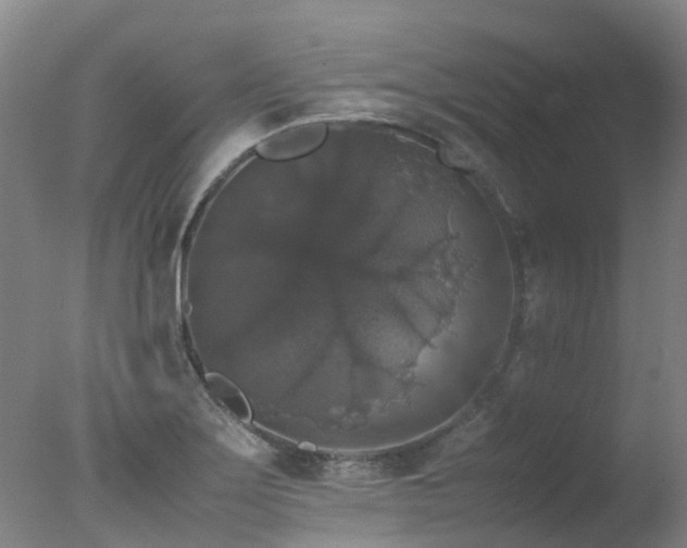 X0000078021275200610271224