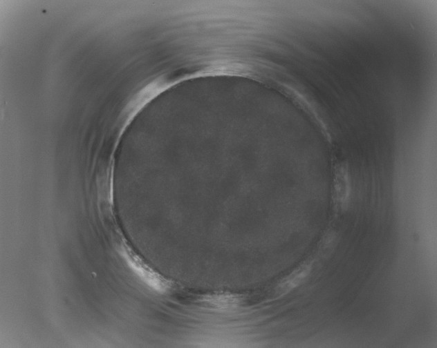 X0000078021276200610271224