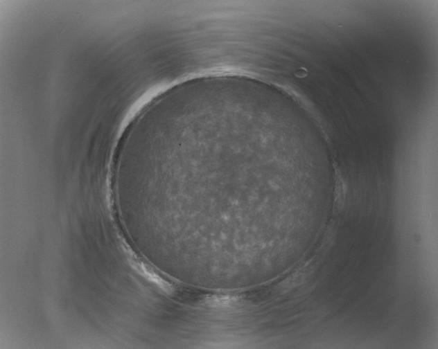 X0000078021278200610271224