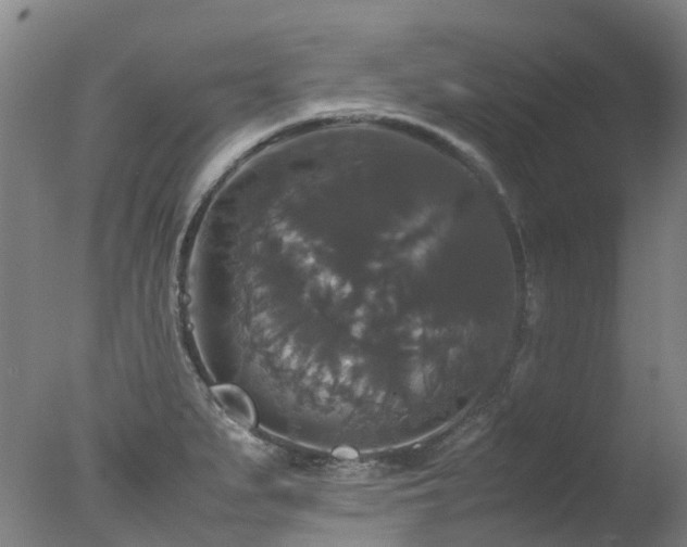 X0000078021279200610271224