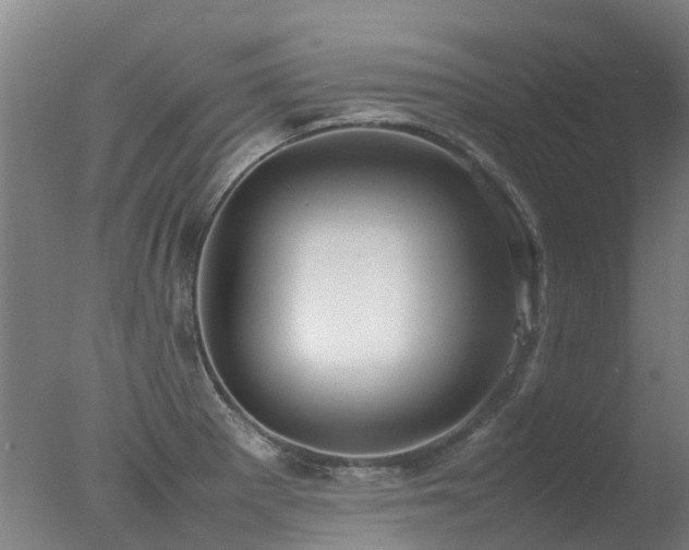 X0000078021281200610271224