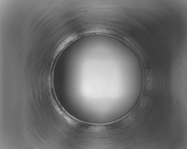 X0000078021282200610271224