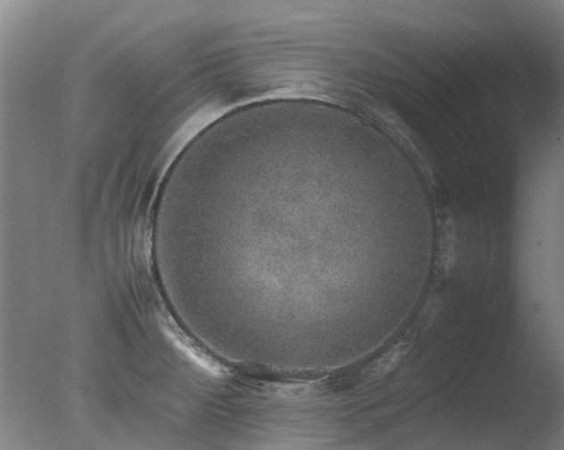 X0000078021284200610271224