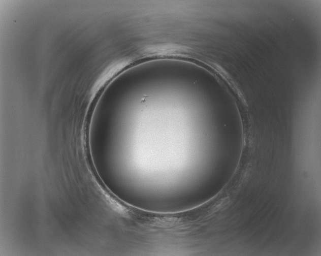 X0000078021285200610271224