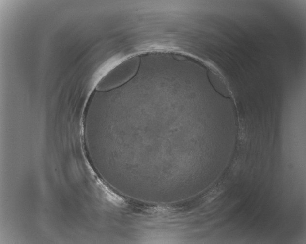 X0000078021287200610271224