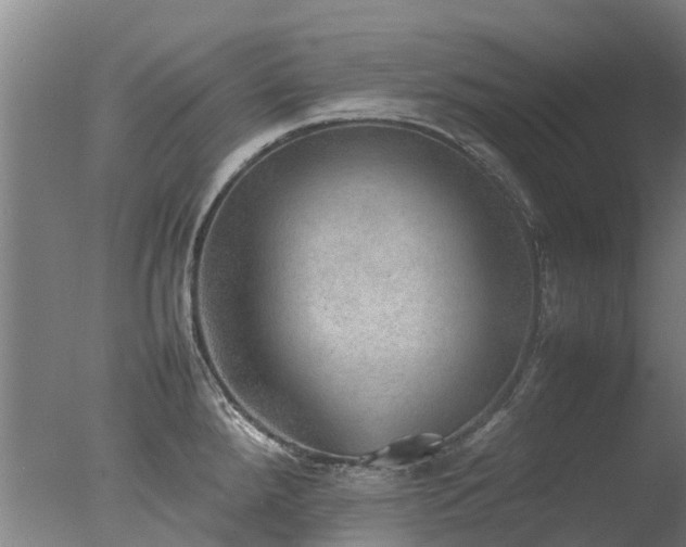 X0000078021288200610271224