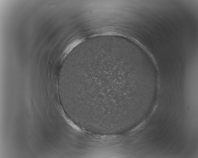 X0000078021289200610271224