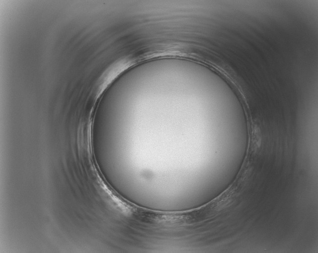 X0000078021290200610271224