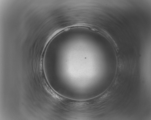 X0000078021292200610271224