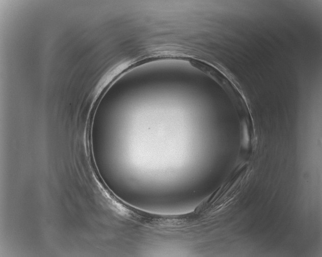 X0000078021293200610271224