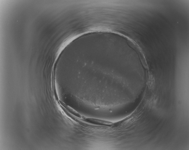 X0000078021295200610271224