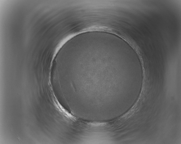 X0000078021296200610271224