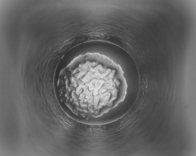 X0000078021297200610271223