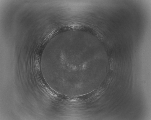 X0000078021298200610271223