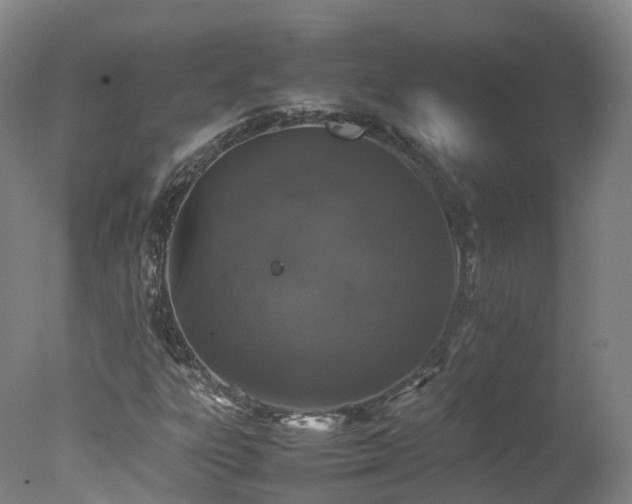 X0000078021303200610271223