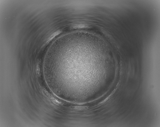 X0000078021305200610271223