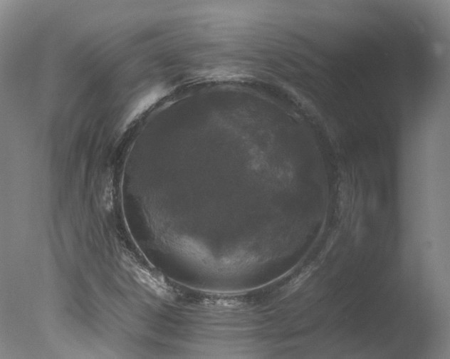 X0000078021306200610271223