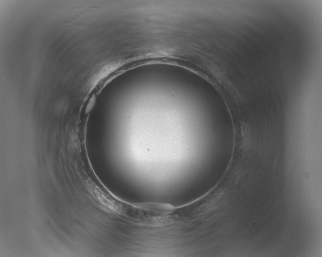 X0000078021308200610271223