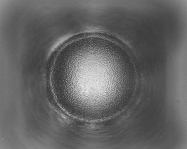 X0000078021311200610271223