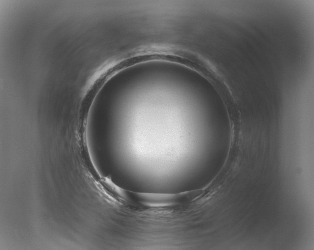 X0000078021312200610271223