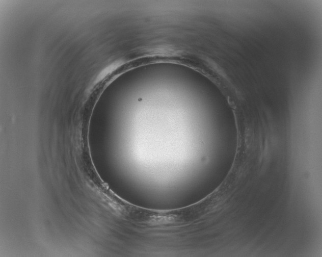 X0000078021315200610271223