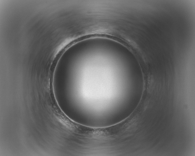 X0000078021316200610271223